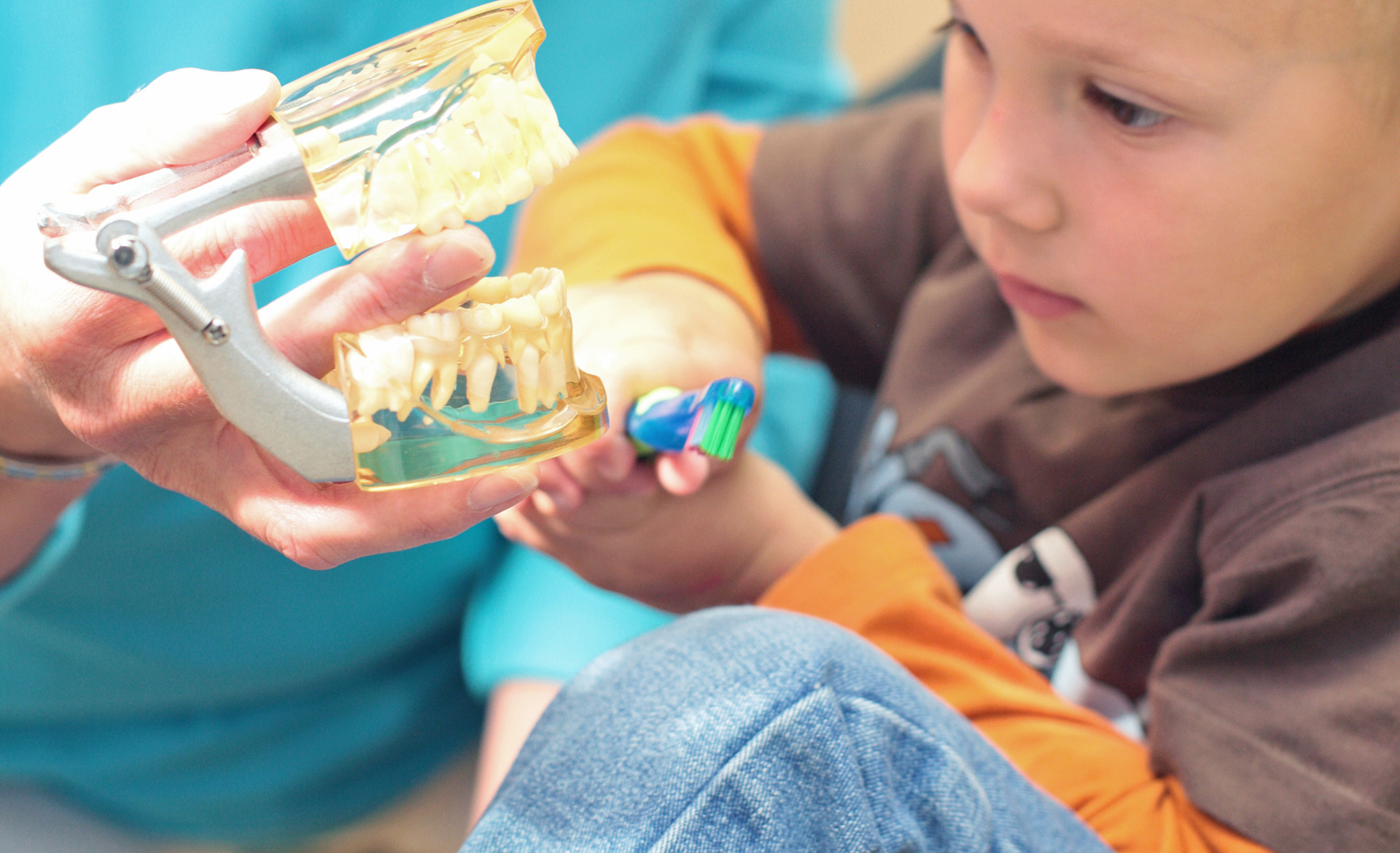 Ein Zahnarzt zeigt einem Kind einen Dentalmodell und eine Zahnbürste, um die Zahnpflege zu erklären – Beispiel für die kinderfreundliche Beratung in der Zahnarztpraxis Thiele & Menk in Weilburg.